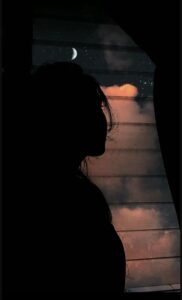 Dark Silhouette Under Moonlight DP
