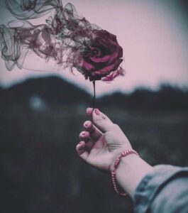 Faded Flowers DP