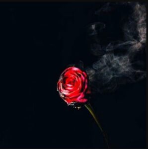 black rose dp for mood off